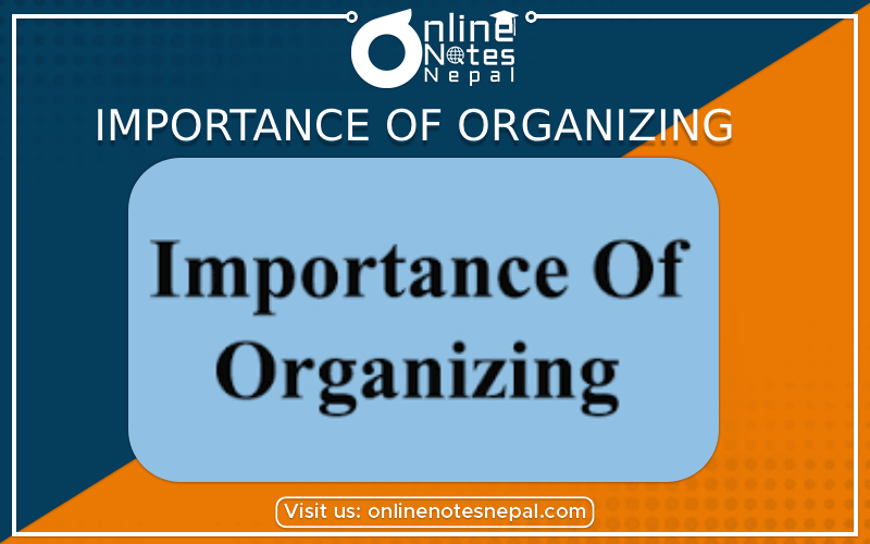Importance of Organizing Photo
